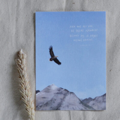 Ansichtkaart "Adelaar"