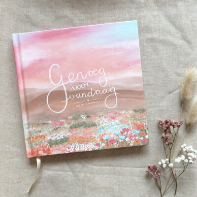 Boek "Genoeg voor vandaag"